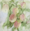 Omenien aikaan / In Apple Time, 2006, 30 x 30 cm 